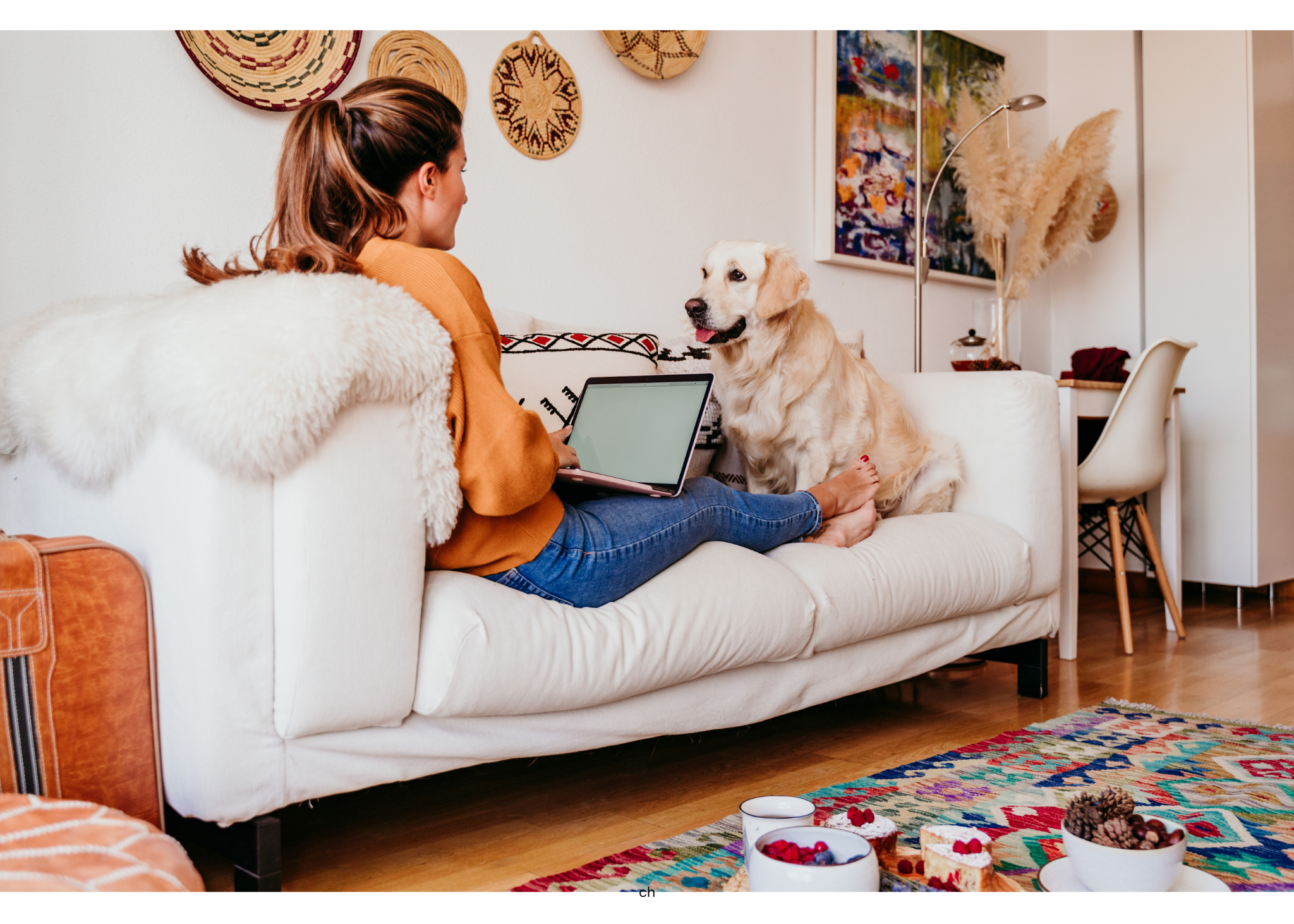 Telecommuting laptop work on your couch